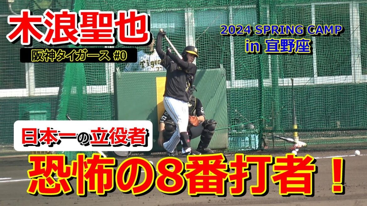 【2024春季キャンプ】恐怖の8番打者・木浪聖也・・・連覇へ始動！【阪神タイガース】