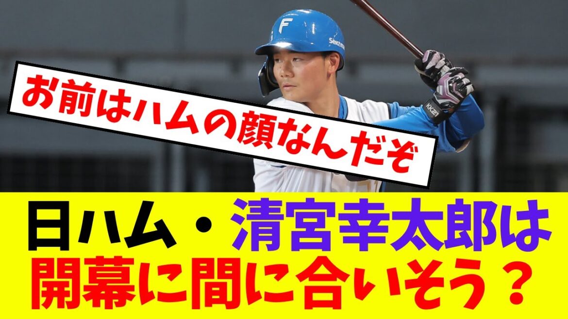 【日本ハム】清宮幸太郎は開幕に間に合いそう？【プロ野球ネットの反応集】