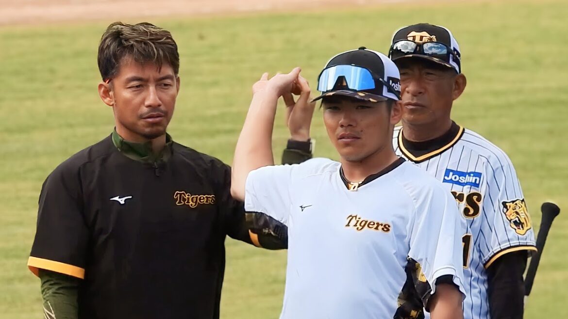 【スローイング矯正】鳥谷臨時コーチから身振り手振りで腕の振り方について徹底的に指導される小野寺暖【阪神春季キャンプ】2024.2.6
