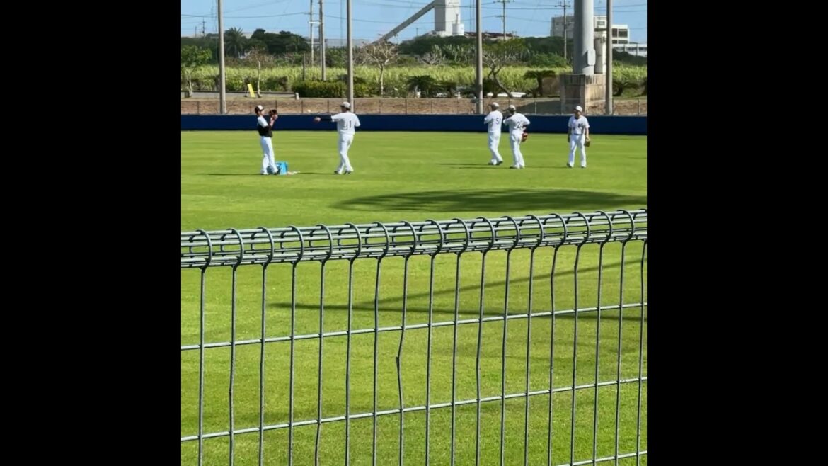 2024年石垣キャンプ　サブグランド　外野ノック