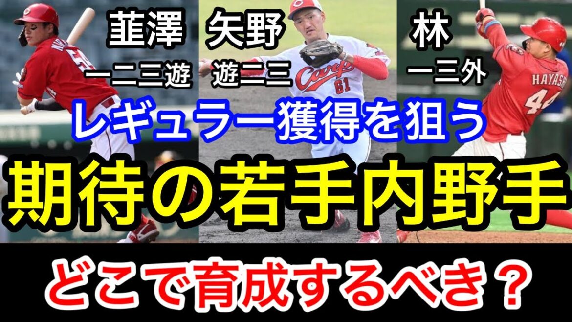 カープ若手内野手の3人。どのポジションで育成するべきなのか考察します。韮澤雄也。矢野雅哉。林晃汰。 カープ若手内野手の3人。どのポジションで育成するべきなのか考察します。韮澤雄也。矢野雅哉。林晃汰。