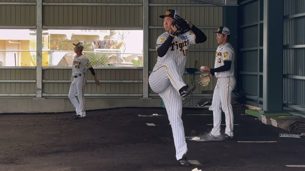 【支配下入りへ猛アピール】岡田監督絶賛！育成左腕・川原陸、紅白戦後初のブルペン投球！どんでん「ストレートで空振りが取れる」【阪神春季キャンプ】2024.2.14