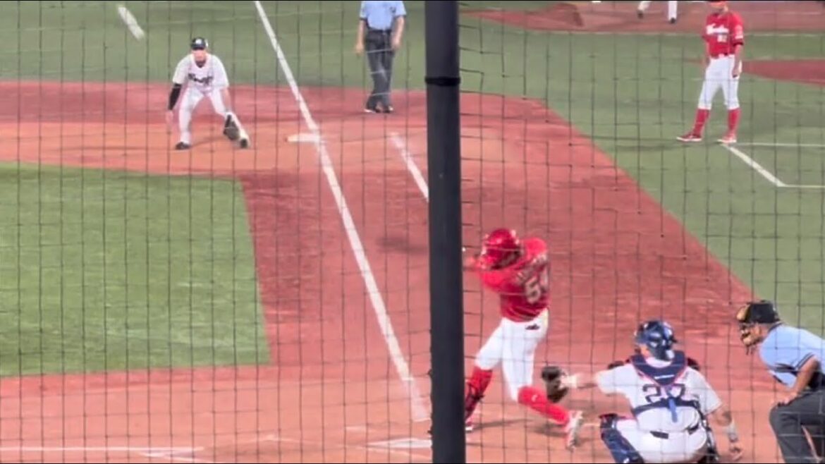 代打韮澤！入ったかー、プロ第一号だと思った打球もため息に包まれる｜2022年8月24日｜広島東洋カープ