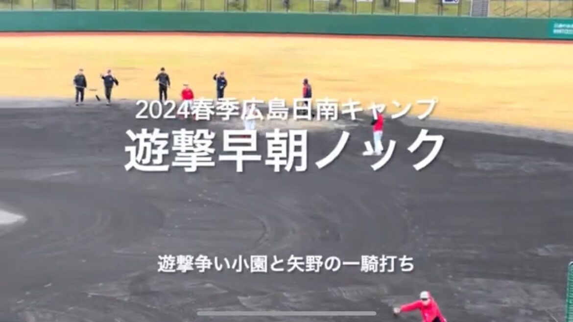 遊撃のポジションを争う、小園と矢野の早出特守！！【2024.2.3春季日南キャンプ第1クール3日目】#広島カープ#2024春季日南キャンプ#天福球場#小園海斗#矢野雅哉
