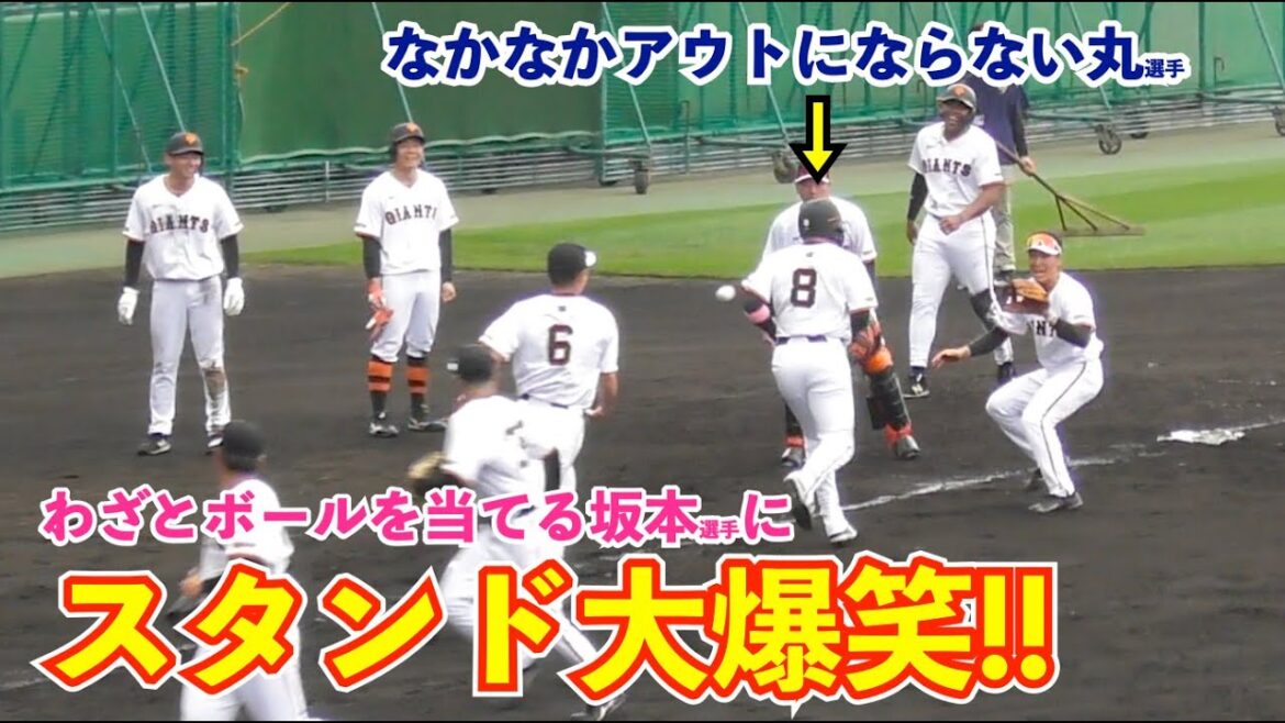 巨人オドーア選手、全体ミーティングで初紹介も別メニュー！重盗プレーで粘る丸選手に坂本勇人選手がわざとボールを当てる⁉︎観客爆笑の拍手喝采！読売ジャイアンツ 春季キャンプ