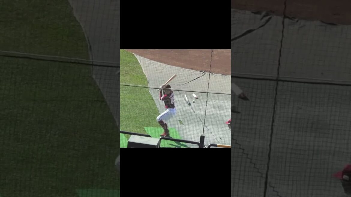 楽天 吉持亮汰のコンパクトなスイング 【合同トライアウト2022年11月8日】