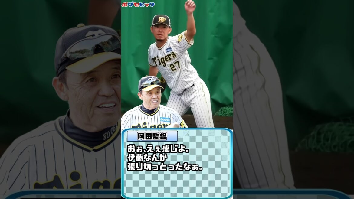 糸井嘉男､阪神のキャンプ地で衝撃トークを耳にする!?【ボグセビック】#shorts #プロ野球 #阪神タイガース