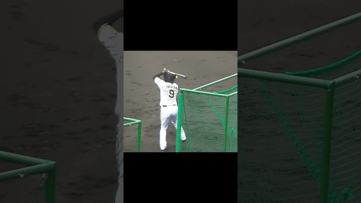 阪神 髙山俊のトスバッティング【プロ野球12球団合同トライアウト2023年11月15日】