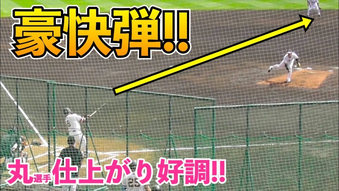 巨人丸選手、新加入高橋礼投手から豪快弾！シート打撃で好調アピール！読売ジャイアンツ 春季キャンプ