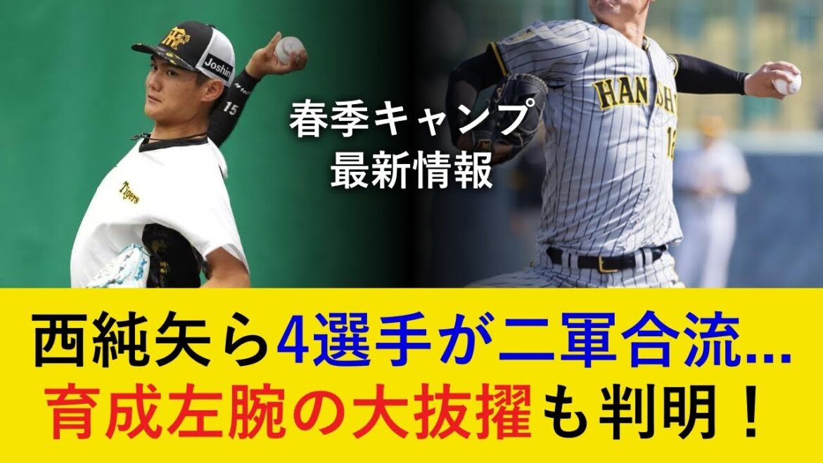 【春季キャンプ最新情報】西純矢選手ら4選手の二軍合流が決定…。岡田監督絶賛の育成左腕は一軍の対外試合へ抜擢！【阪神タイガース】