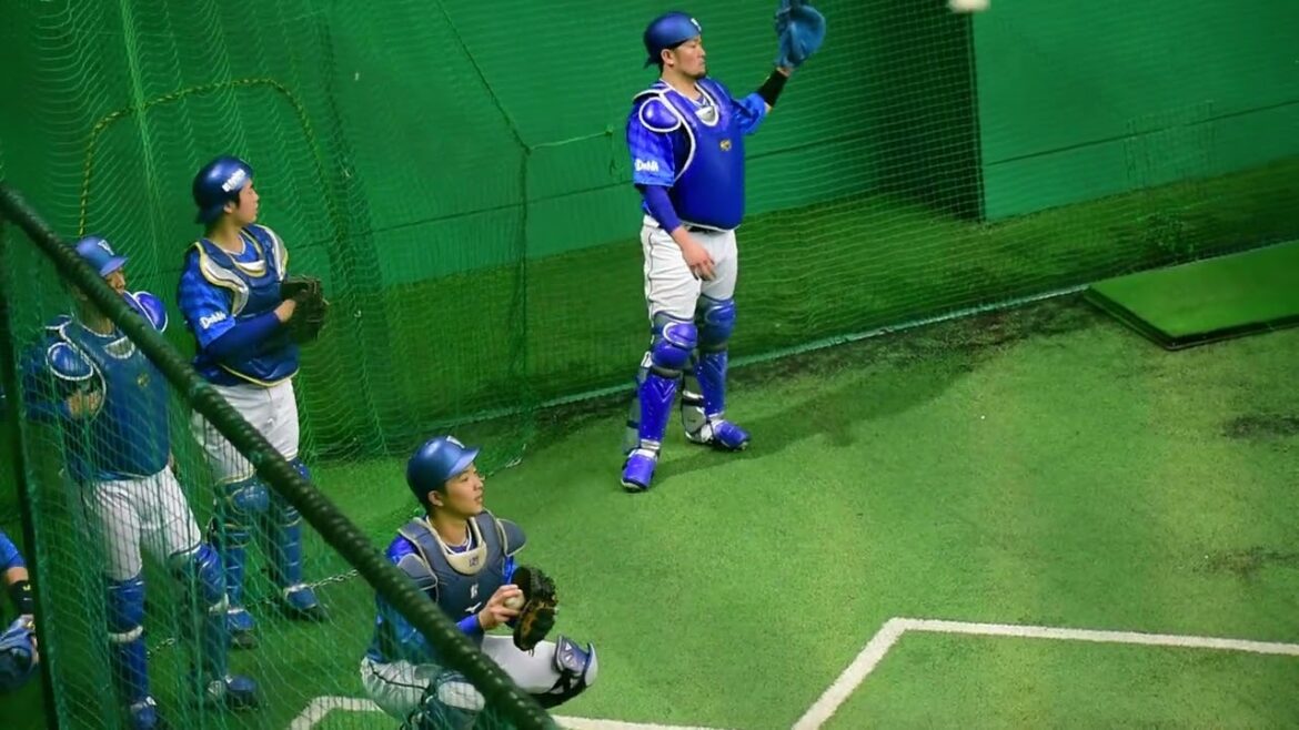 奄美キャンプ 伊藤光 捕手 戸柱恭孝 捕手 上甲凌大 捕手 九鬼隆平 捕手 近藤大雅 捕手 【横浜DeNAベイスターズ】2024年2月7日