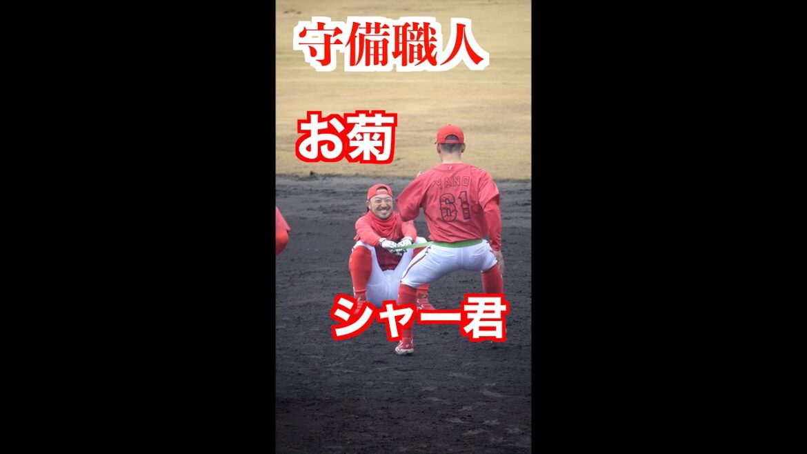 【可愛いんだが…】菊池涼介と矢野雅哉のチューブトレーニング（下半身強化）