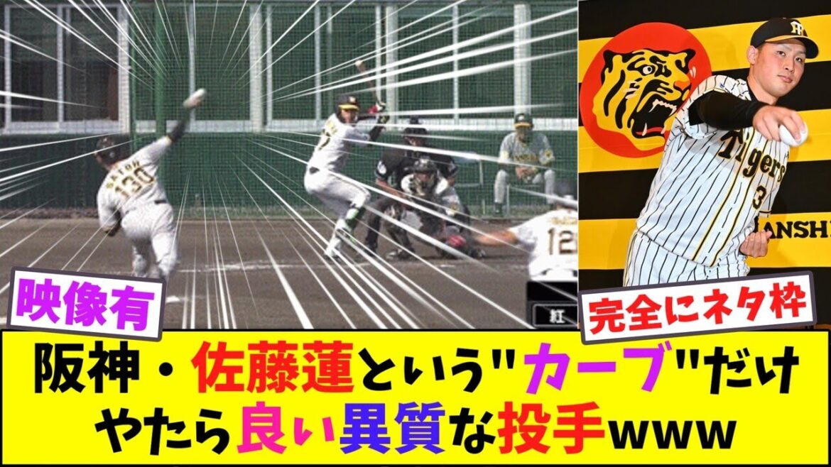 阪神・佐藤蓮という”カーブ”だけやたら良い異質な投手www【なんJ反応】 阪神・佐藤蓮という"カーブ"だけやたら良い異質な投手www【なんJ反応】