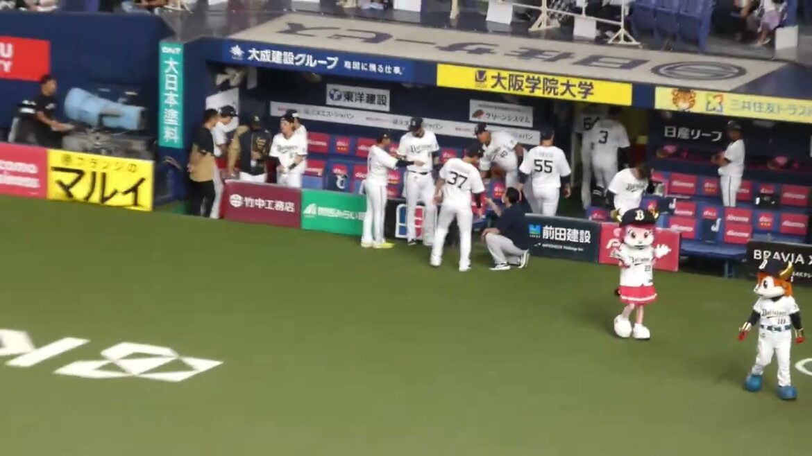 じゃれ合う 石川 亮 と ベルたそ　#オリックスバファローズ