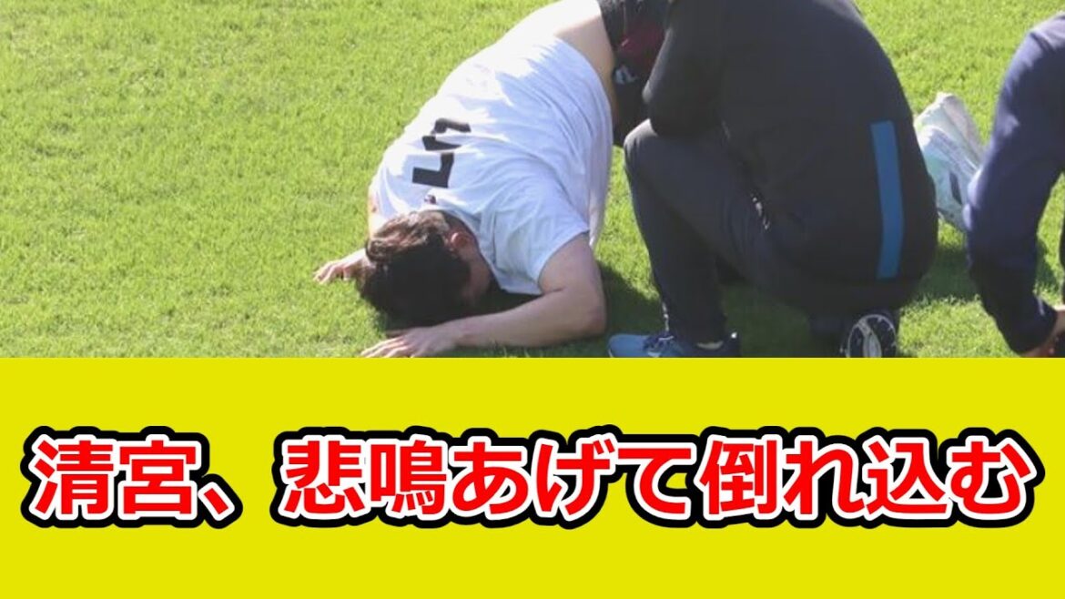 清宮幸太郎、アップ後に悲鳴あげて倒れ込む。先乗り自主トレで左足を負傷