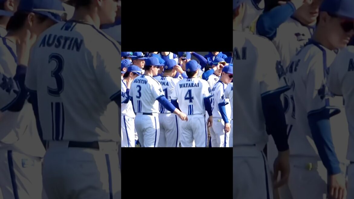 度会くんにいたずらするオースティンwww 横浜DeNAベイスターズ 2024/2/1