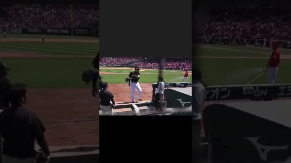 仲間とハイタッチする福留孝介