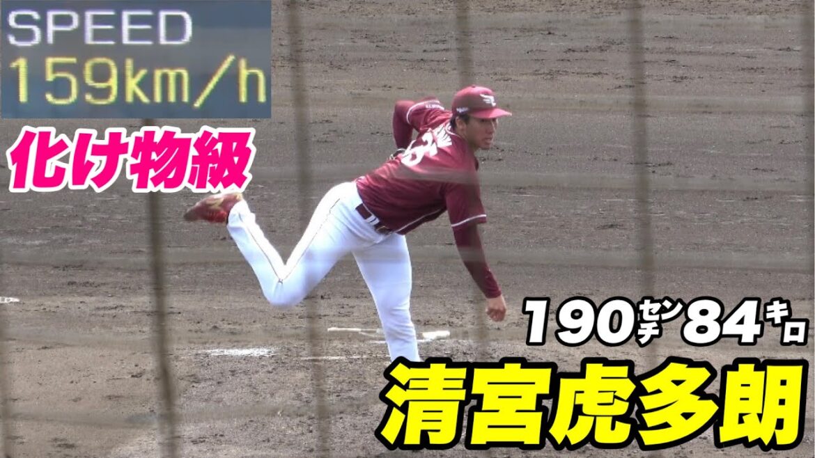 【虎多郎が虎の前で150㌔後半の豪速球を連発する！！育成の清宮虎多郎選手投球！！】