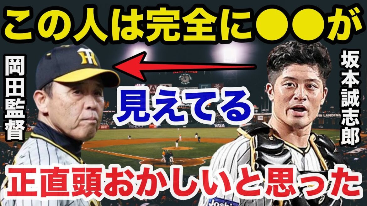 阪神.岡田監督の采配を間近で見ていた坂本誠志郎が衝撃の本音を暴露！「●●が見えている...」【阪神タイガース/プロ野球】