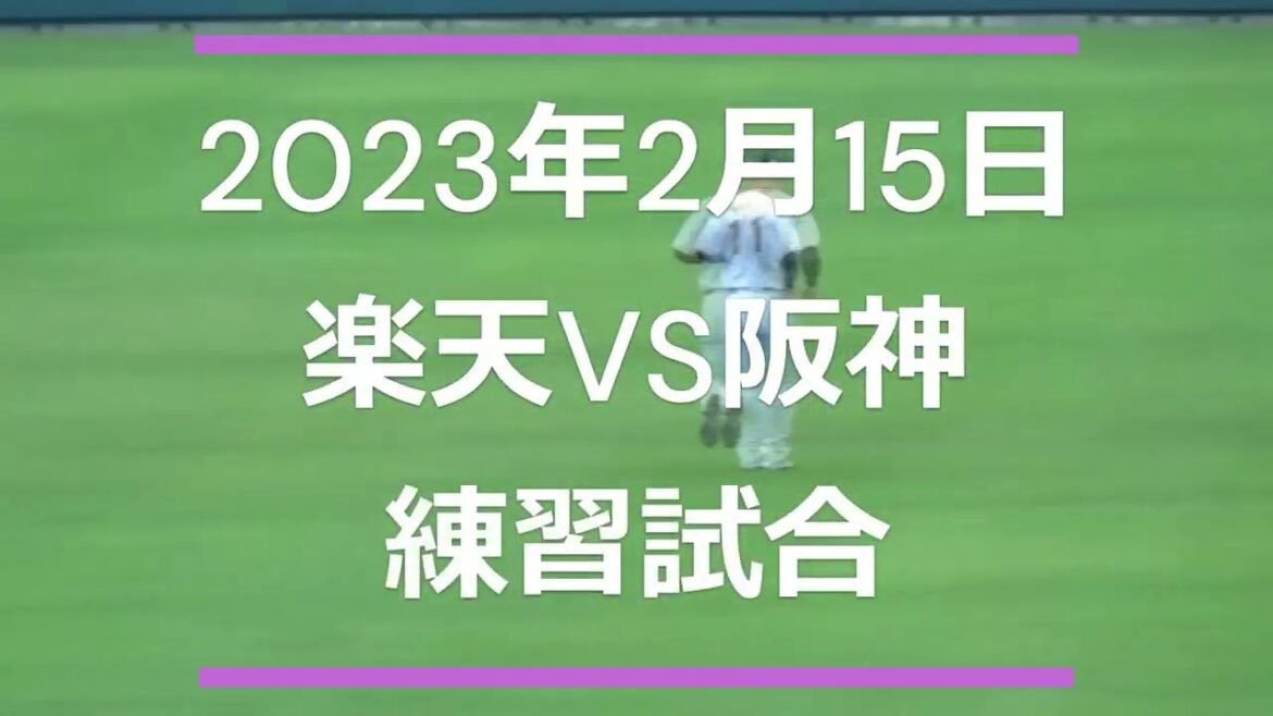 2023.02.15 楽天VS阪神 練習試合後半
