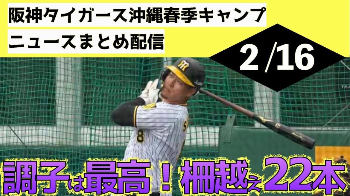 【大山4番、テルは絶好調】阪神タイガース沖縄春季キャンプ(2024年2月16日)キャンプ初1軍2軍入れ替え、大山悠輔と佐藤輝明がランチ特打で最大4連発!岡田監督今年も大山が4番と明言 【大山4番、テルは絶好調】阪神タイガース沖縄春季キャンプ(2024年2月16日)キャンプ初1軍2軍入れ替え、大山悠輔と佐藤輝明がランチ特打で最大4連発!岡田監督今年も大山が4番と明言
