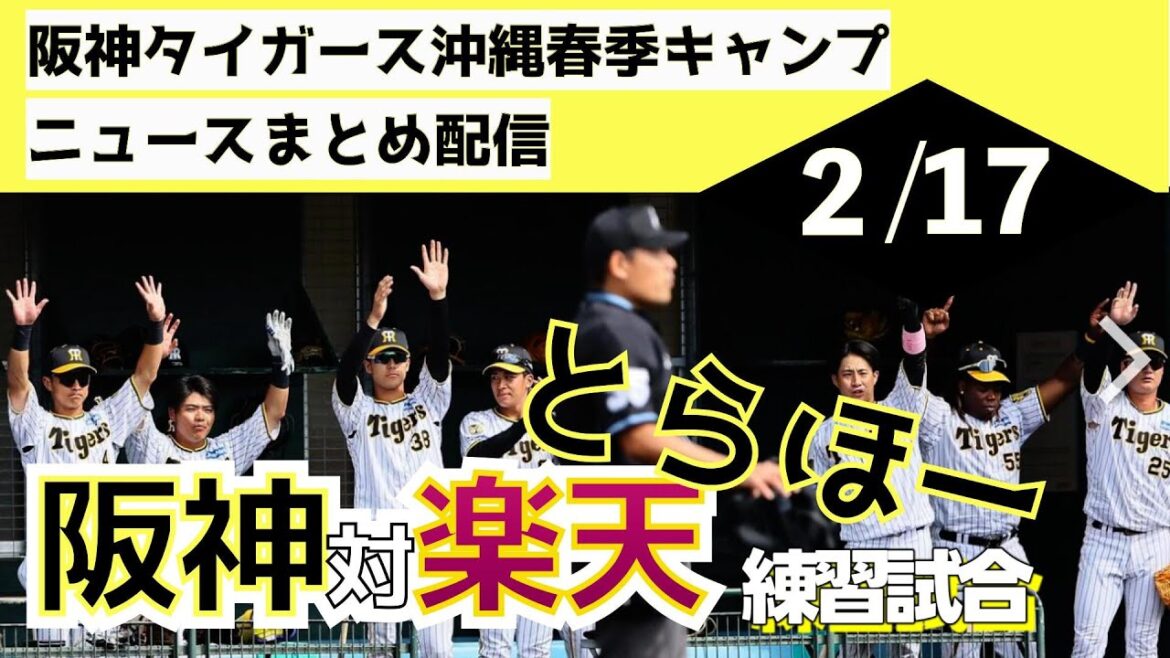 【2024初とらほー(練習試合)】阪神タイガース沖縄春季キャンプ（2024年2月17日）東北楽天ゴールデンイーグルスとの練習試合は4対３で阪神タイガースの勝利！梅野選手は188日振りの試合出場となった