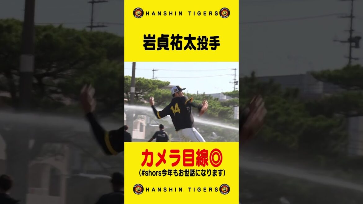 【チラリ】#岩貞祐太 投手のファンサービス！キャッチボール中にカメラ目線頂きました！#shorts