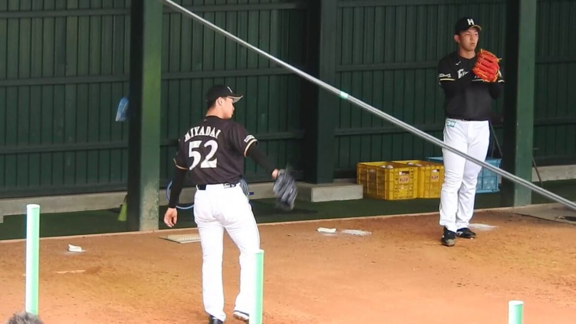 2019/02/19；吉田 輝星、宮台 康平、柿木 蓮の豪華ブルペン投球