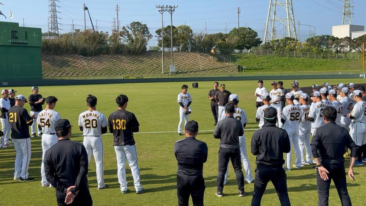 【本日の声出し】島田海吏、昨年の個人成績に対する悔しさとキャンプでの目標について語る【阪神春季キャンプ】2024.2.13