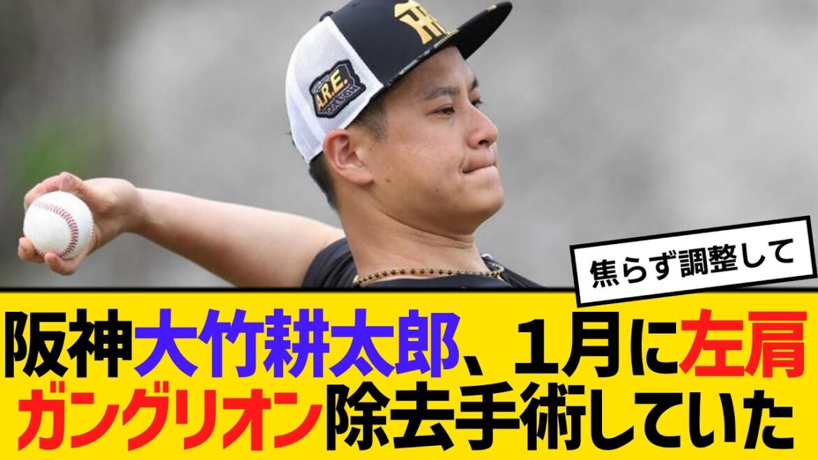 阪神・大竹耕太郎、1月に左肩ガングリオン除去手術していた 【2ch】【5ch】【反応】 阪神・大竹耕太郎、1月に左肩ガングリオン除去手術していた 【2ch】【5ch】【反応】