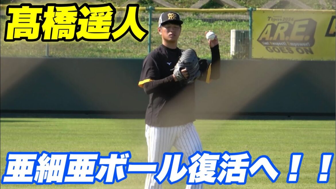 【もう日に日にボールの威力が凄くなってきている髙橋遥人の復活に向けてのキャッチボール！！】