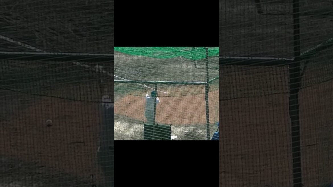 ファイターズ髙濱祐仁の打撃～バッティング練習〜2022/2/15巨人日ハム戦