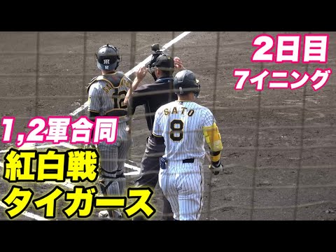 【2日目の紅白戦!!新戦力2軍投手陣が次々と登板と1軍へアピールなるか?】 【2日目の紅白戦!!新戦力2軍投手陣が次々と登板と1軍へアピールなるか?】