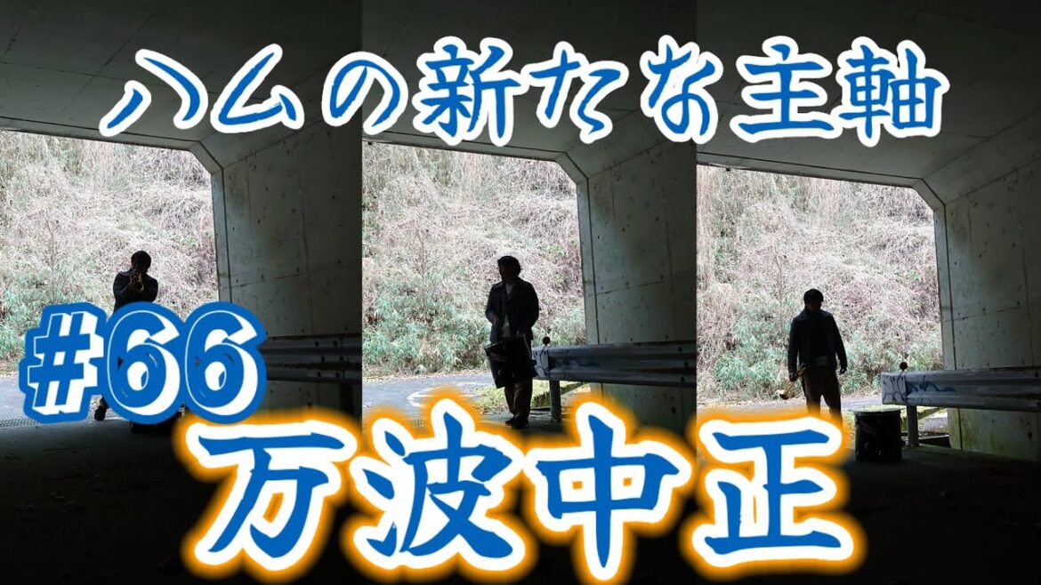 日ハム・万波の応援歌吹いてみた