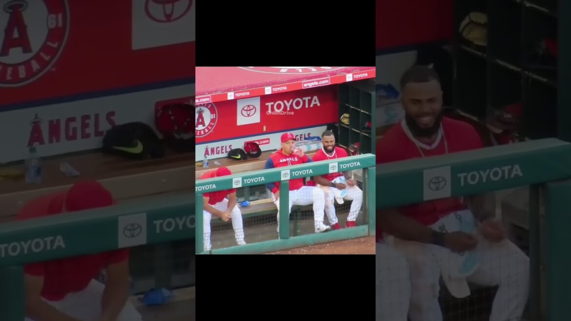 スアレスとレンヒフォの幼なじみの絡みが小学生w かわいすぎる #shorts #エンゼルス #angels #angelstadium #現地映像 #mlb #大谷翔平 #shoheiohtani