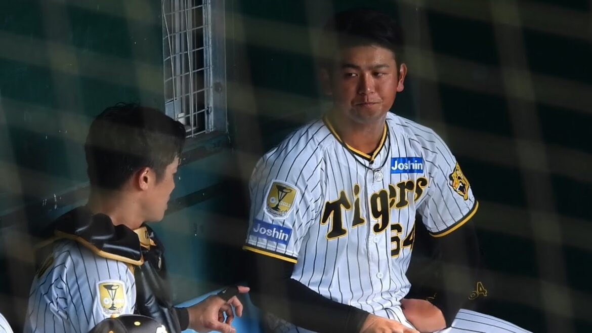 【覚醒の予感】岡留英貴、抜群の球威で紅白戦から3戦連続好投！ベンチで坂本誠志郎と投球について確認し合う【阪神 vs サムスン】2024.2.20