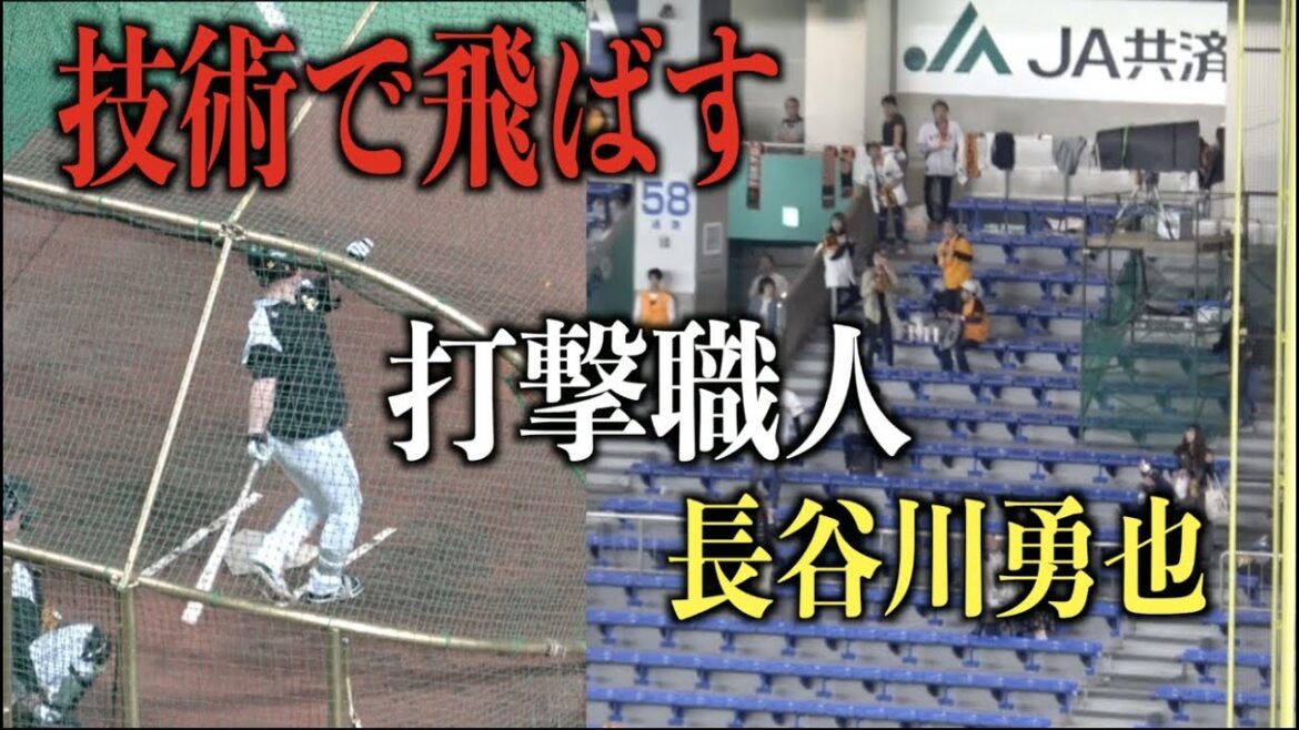 ２階席まで飛ばす!!!力ではなく技術で放り込む長谷川勇也のフリーバッティング【福岡ソフトバンクホークス】