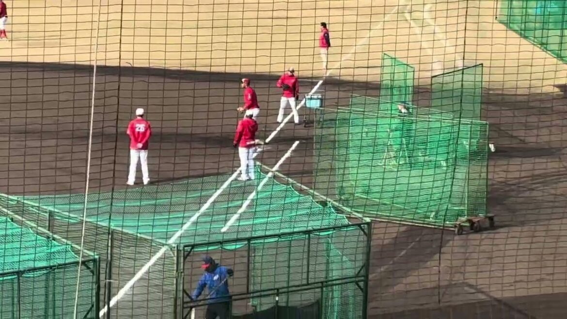 【広島東洋カープ春季キャンプ】早出特守　韮澤雄也　ロベルト