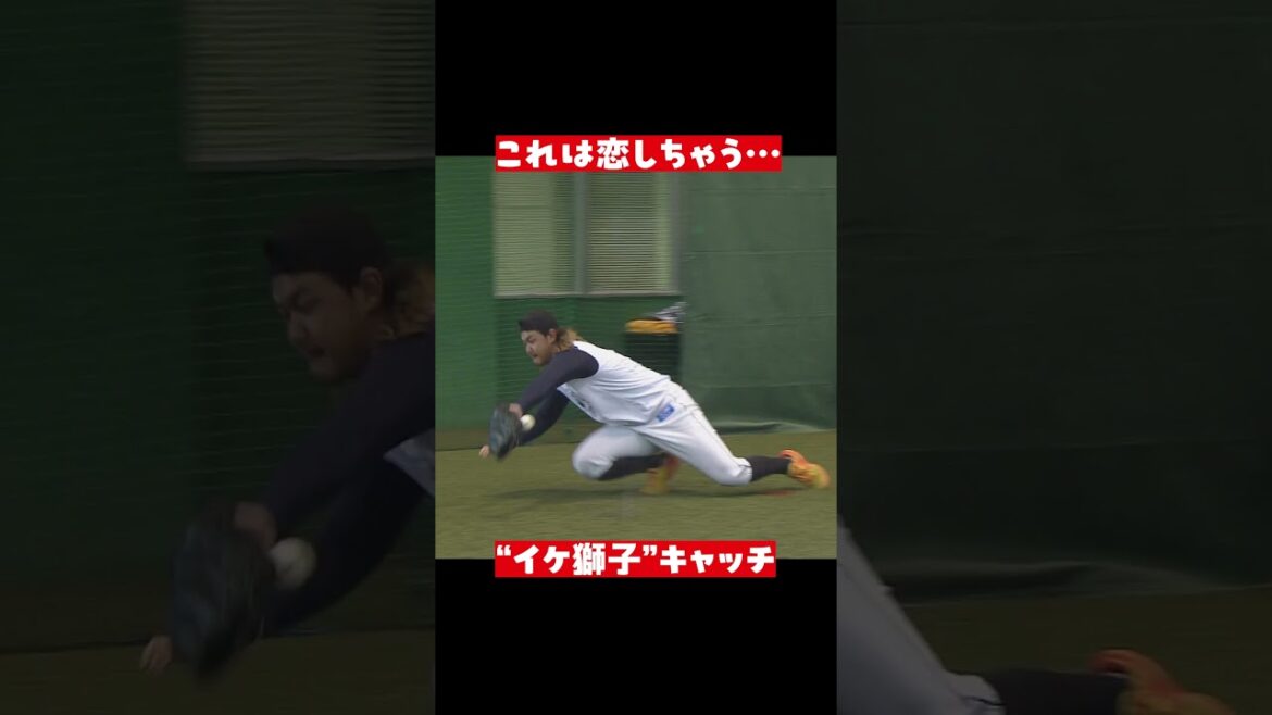 恋しちゃう…“イケ獅子”キャッチ #shorts