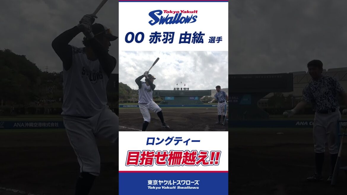 赤羽由紘選手 ロングティーで目指せ柵越え！ #swallows #プロ野球 #東京ヤクルトスワローズ #shorts #赤羽由紘