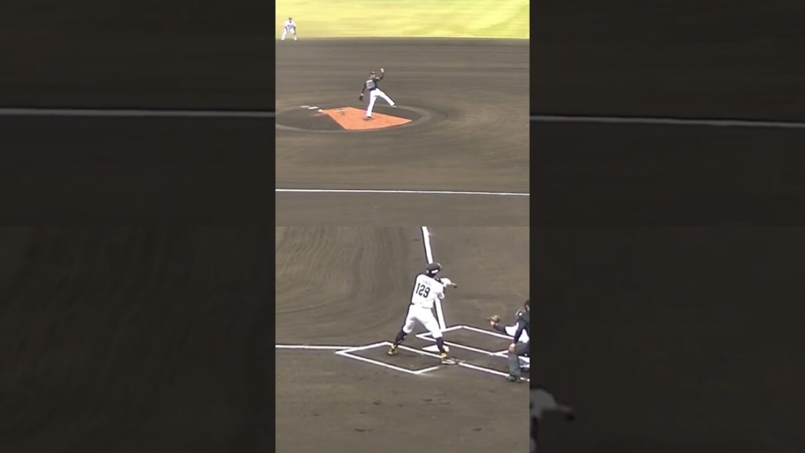 オリックス西濱勇星がソフトバンク居谷 匠真を三振にとる【プロ野球12球団合同トライアウト2023年11月15日】