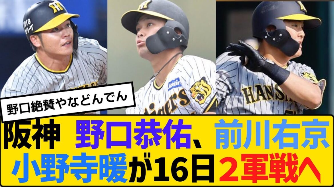 阪神 野口恭佑、前川右京、小野寺暖が16日２軍戦出場へ　【2ch】【5ch】【反応】