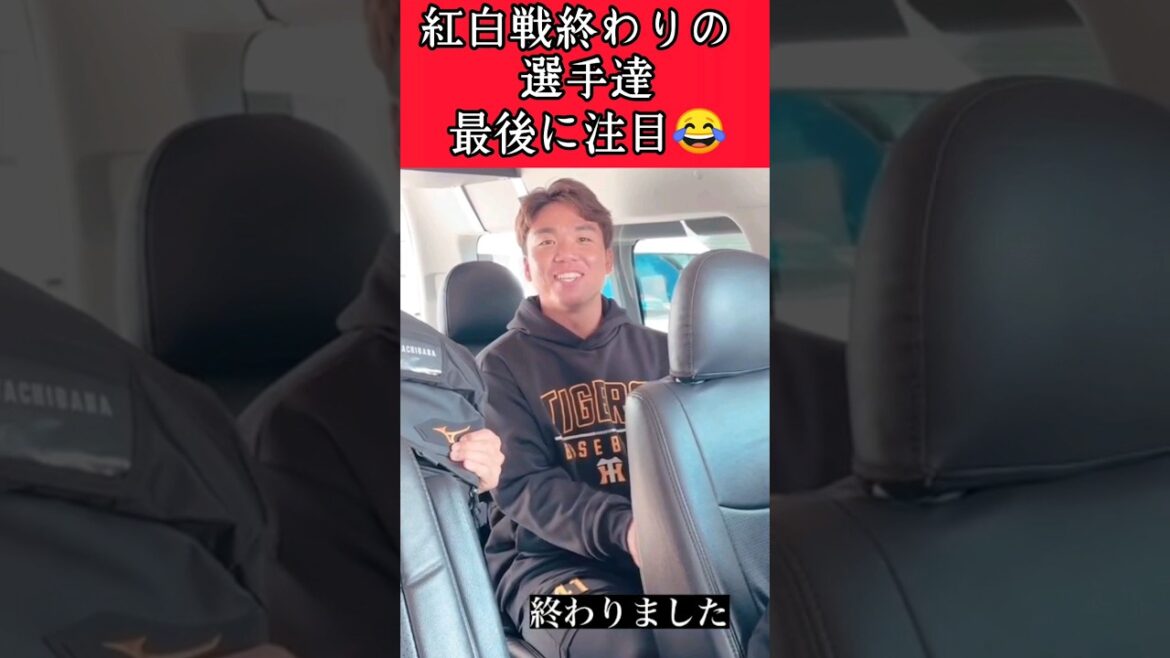 【阪神】"村上頌樹"からの"才木浩人" #阪神 #阪神タイガース #村上頌樹 #才木浩人 #shorts