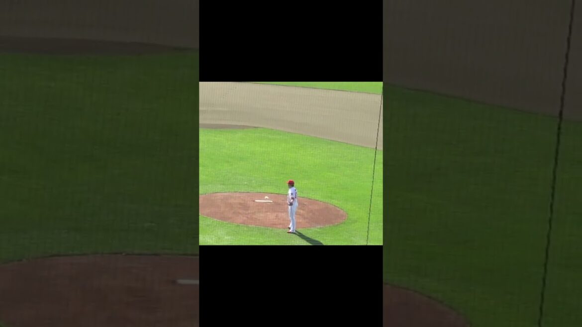 カープ田中 法彦の投球練習 【合同トライアウト2022年11月8日】