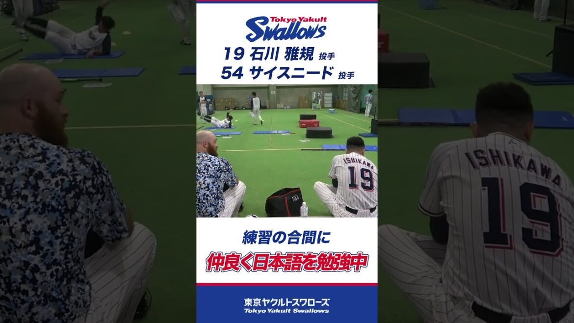 石川雅規投手＆サイスニード投手 仲良く日本語の勉強中 #swallows #プロ野球 #東京ヤクルトスワローズ #shorts #石川雅規 #サイスニード