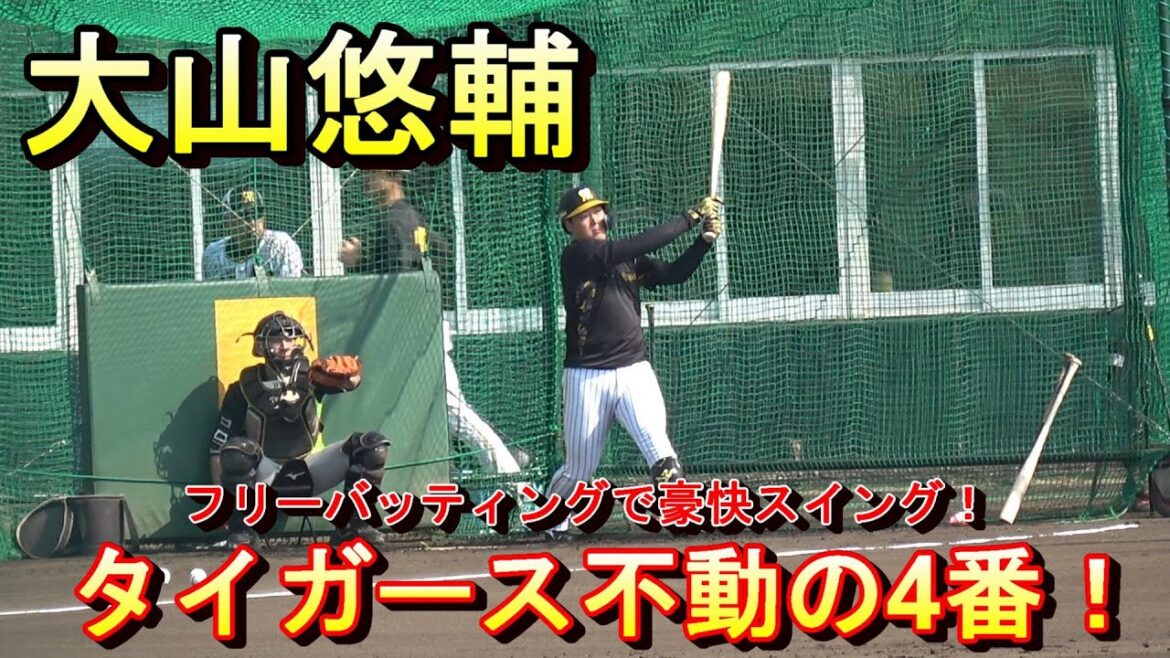 【2024春季キャンプ】タイガース不動の4番・大山悠輔・・・フリーバッティングで豪快スイング‼【阪神タイガース】