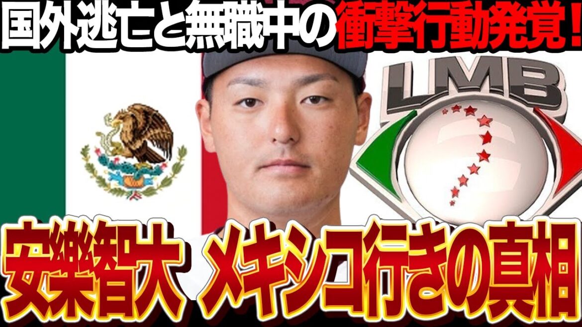 安樂智大がメキシカンリーグ移籍の真相、現在無職の衝撃現在が暴露され一同騒然…パワハラ騒動で球団を追放された投手の再起に国外逃亡、MLB移籍も前提と言われる移籍の全貌が明らかに【プロ野球】