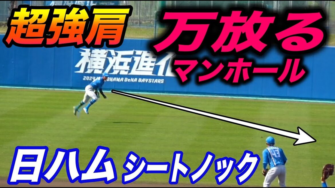 侍ジャパン代表,万波砲準備完了！！捕ってから投げるまでが早い！日ハム名前入りシートノックin沖縄キャンプ！！