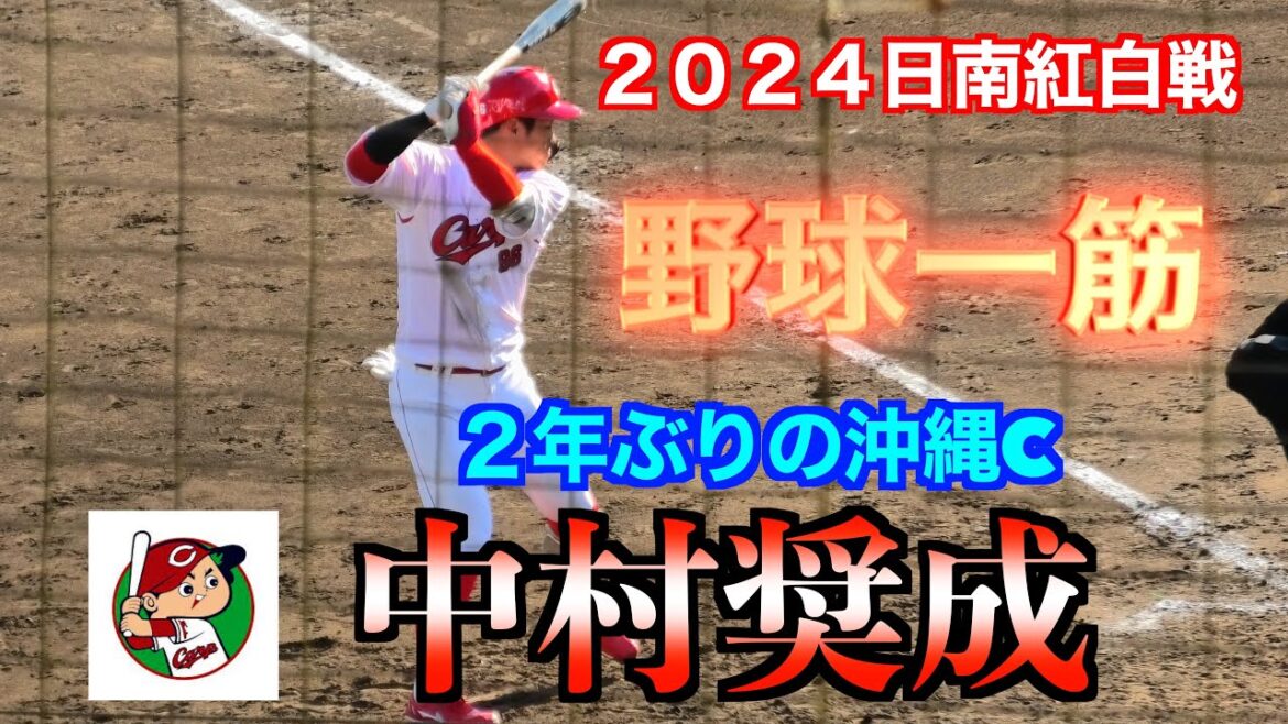 【野球一筋】中村奨成２年ぶり沖縄１軍キャンプ入り【２０２４カープ春季紅白戦】