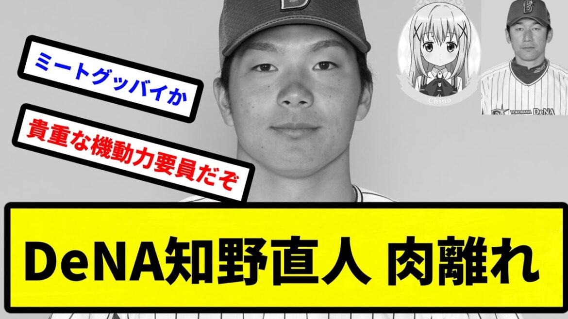 【あほちんだけを、ブレンドしました。】DeNA知野直人 肉離れ【プロ野球反応集】【2chスレ】【1分動画】【5chスレ】